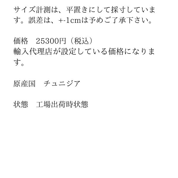 P10100042